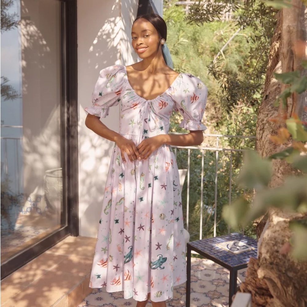 EUC WORN ONCE HILL HOUSE OPHELIA DRESS
